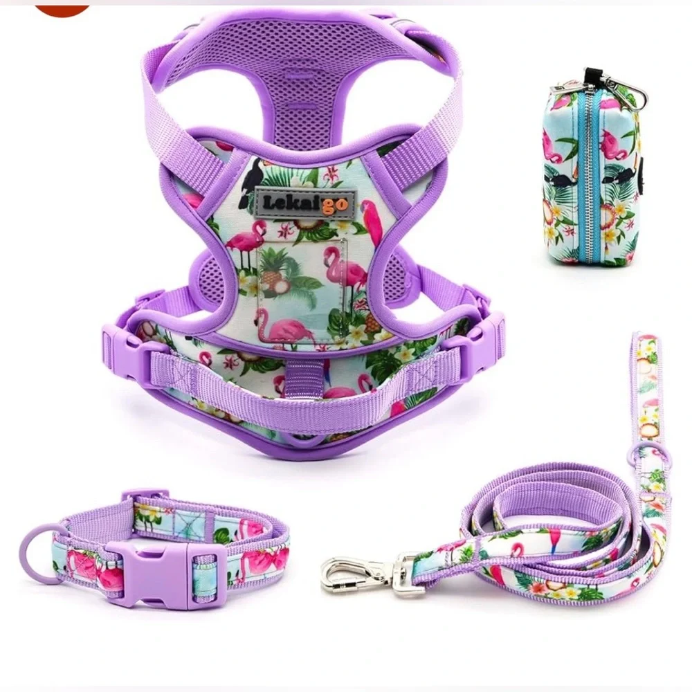 Purple Flamingo Dog Harness Set